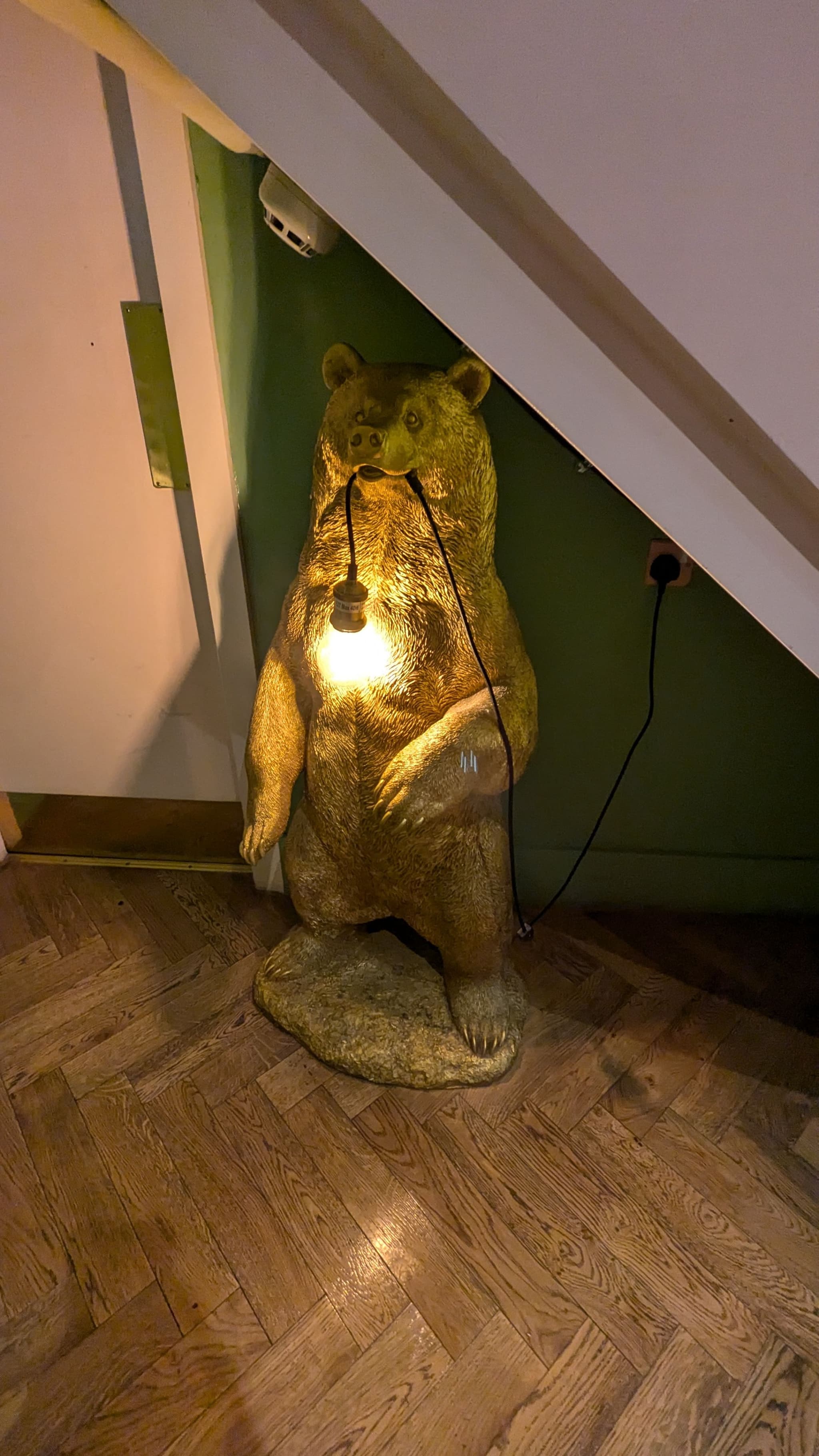 The bear under the stair